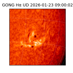 gong - 2026-01-23T09:00:02