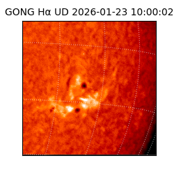 gong - 2026-01-23T10:00:02