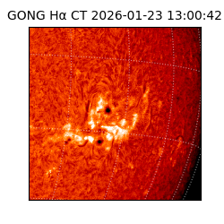 gong - 2026-01-23T13:00:42