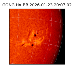 gong - 2026-01-23T20:07:02