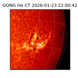 gong - 2026-01-23T22:00:42