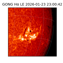 gong - 2026-01-23T23:00:42