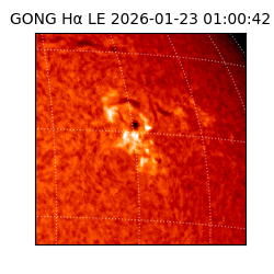 gong - 2026-01-23T01:00:42