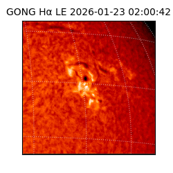 gong - 2026-01-23T02:00:42