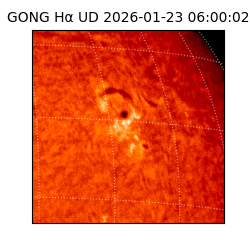 gong - 2026-01-23T06:00:02