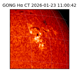 gong - 2026-01-23T11:00:42