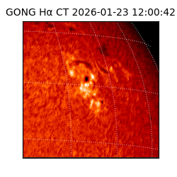 gong - 2026-01-23T12:00:42