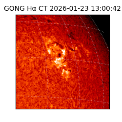 gong - 2026-01-23T13:00:42