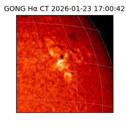 gong - 2026-01-23T17:00:42