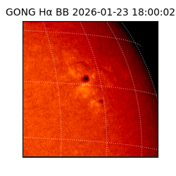 gong - 2026-01-23T18:00:02