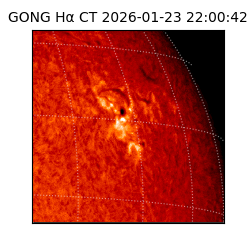 gong - 2026-01-23T22:00:42