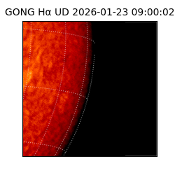 gong - 2026-01-23T09:00:02