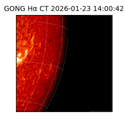 gong - 2026-01-23T14:00:42