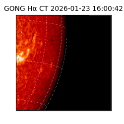 gong - 2026-01-23T16:00:42