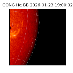 gong - 2026-01-23T19:00:02