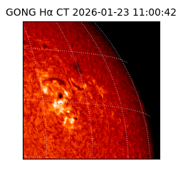 gong - 2026-01-23T11:00:42