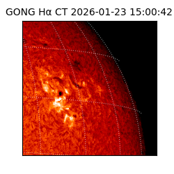 gong - 2026-01-23T15:00:42