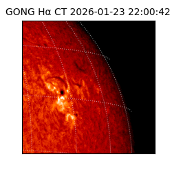 gong - 2026-01-23T22:00:42