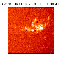 gong - 2026-01-23T01:00:42