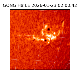 gong - 2026-01-23T02:00:42