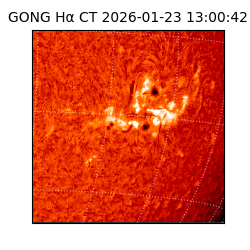 gong - 2026-01-23T13:00:42