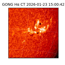 gong - 2026-01-23T15:00:42