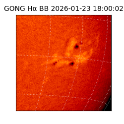 gong - 2026-01-23T18:00:02