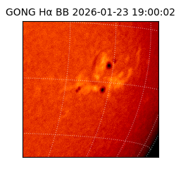 gong - 2026-01-23T19:00:02