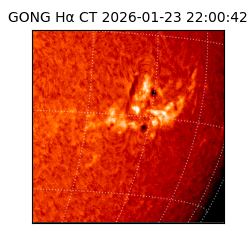 gong - 2026-01-23T22:00:42