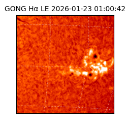 gong - 2026-01-23T01:00:42