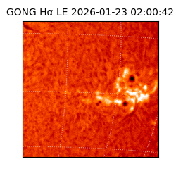 gong - 2026-01-23T02:00:42