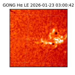 gong - 2026-01-23T03:00:42