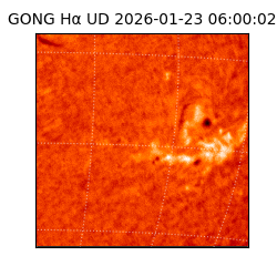 gong - 2026-01-23T06:00:02