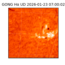 gong - 2026-01-23T07:00:02