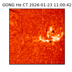 gong - 2026-01-23T11:00:42