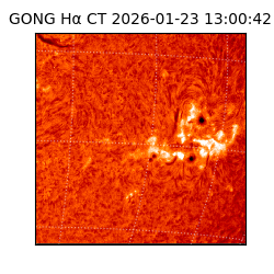 gong - 2026-01-23T13:00:42