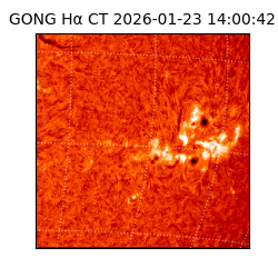 gong - 2026-01-23T14:00:42