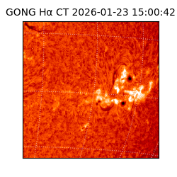 gong - 2026-01-23T15:00:42