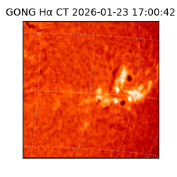 gong - 2026-01-23T17:00:42