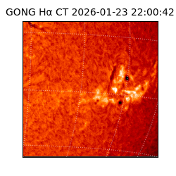 gong - 2026-01-23T22:00:42