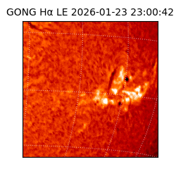 gong - 2026-01-23T23:00:42