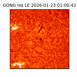 gong - 2026-01-23T01:00:42