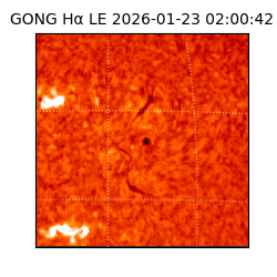 gong - 2026-01-23T02:00:42