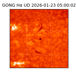 gong - 2026-01-23T05:00:02