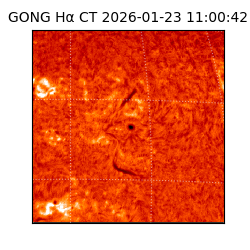 gong - 2026-01-23T11:00:42