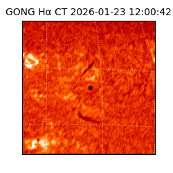 gong - 2026-01-23T12:00:42