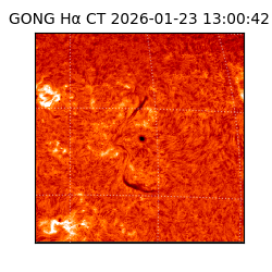 gong - 2026-01-23T13:00:42