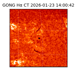 gong - 2026-01-23T14:00:42