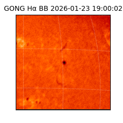 gong - 2026-01-23T19:00:02