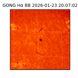 gong - 2026-01-23T20:07:02